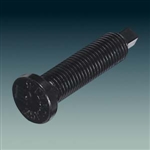 ���/ACCESSORIES